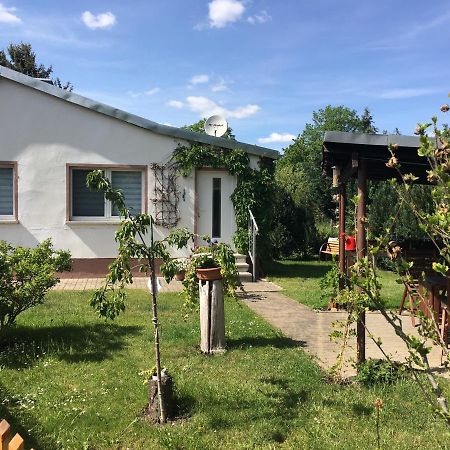 Ferienhaus An Der Selke Meisdorf Екстер'єр фото