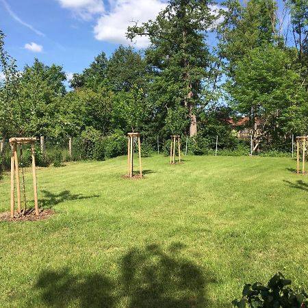 Ferienhaus An Der Selke Meisdorf Екстер'єр фото